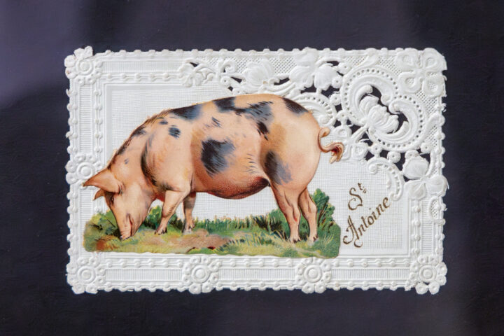 La Chez Meuniere's "The Pig of St. Anthony"
