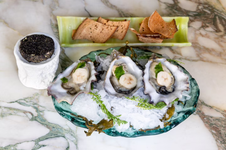 Gaya #2 Oysters," Paris, France