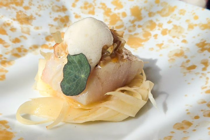 Trente Trois catch of the day—haddock—served lightly pearled with shellfish and parsnip, Paris, France